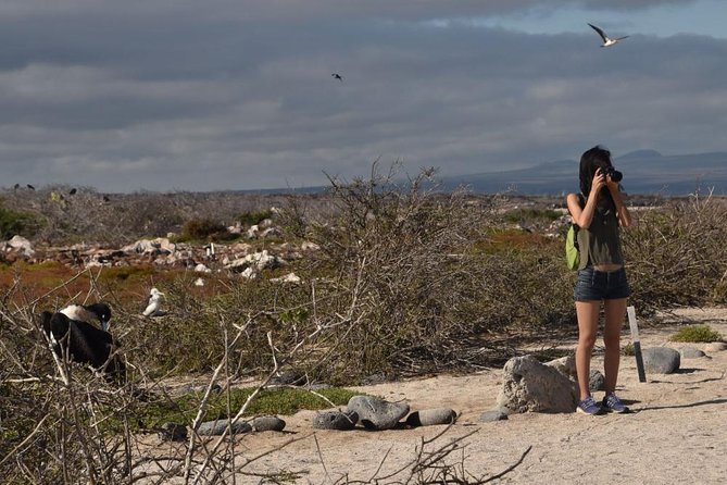 Seymour North Island & Las Bachas Full-Day Tour - Price and Booking Details