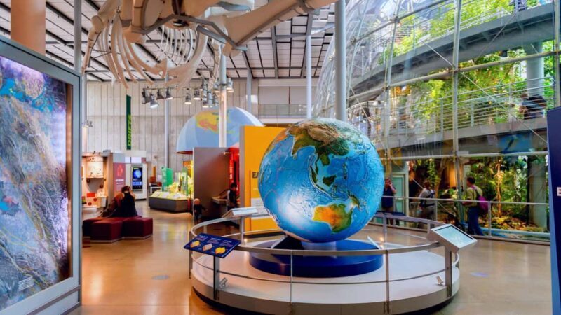 SF: CA Academy of Sciences & Hop-on Hop-off Tour (Save 15%) - An In-Depth Look at the Tour Experience