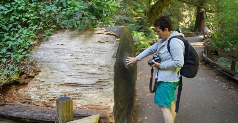 SF: Guided Muir Woods Tour & Hop-On Hop-Off Tour (Save 15%) - Introduction