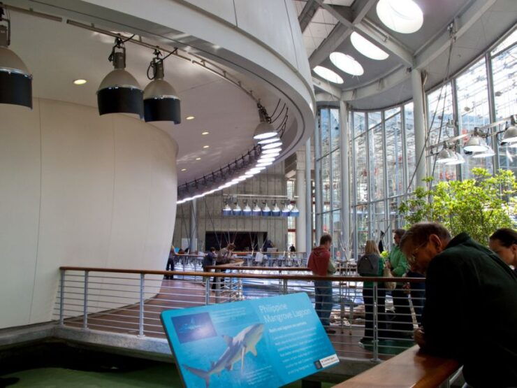 SF: Hop-On Hop-Off Bus Tour & California Academy of Sciences - Highlights