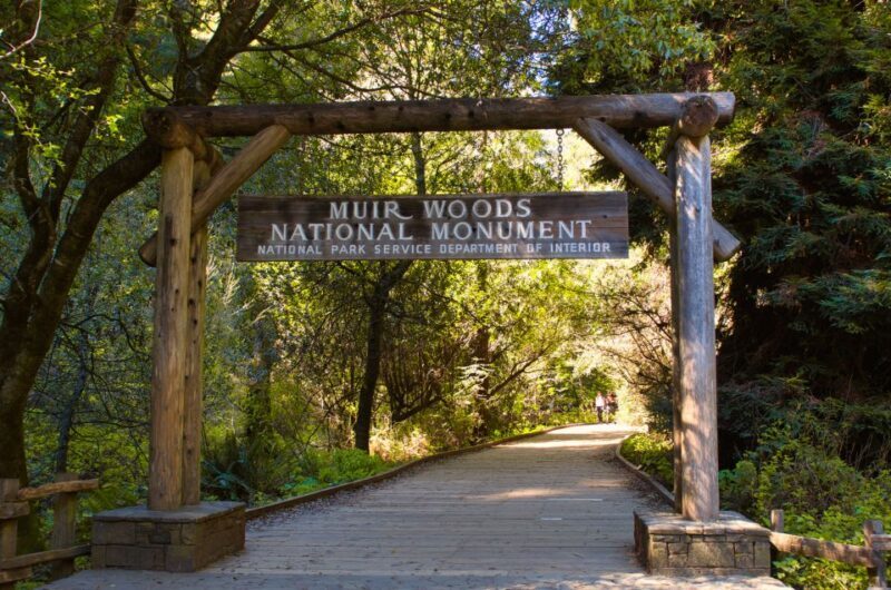 SF: Muir Woods, Sausalito, Golden Gate Bridge Private Tour - Real Experiences and Authentic Feedback