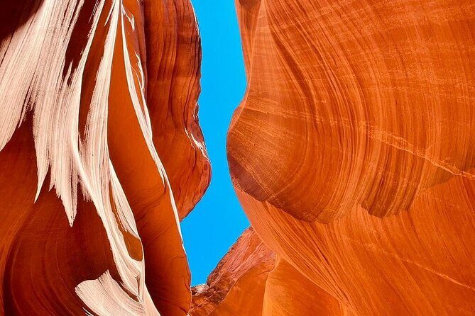 SF to Yellowstone,Grand Teton,Antelope Canyon&Vegas 7-Day Tour - Introduction