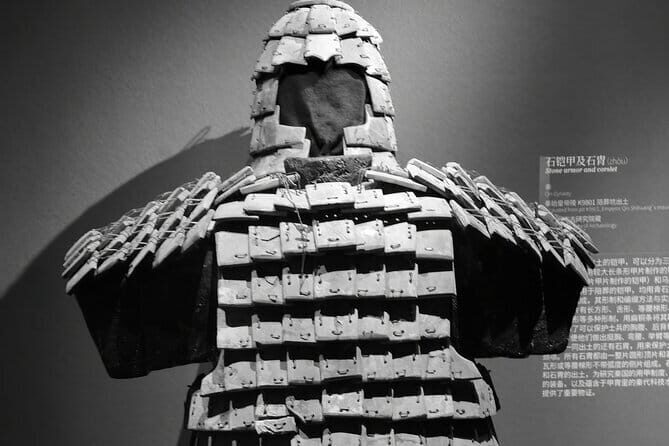 Shaanxi History Museum Qin-Han Branch English guide service - The Value of Guided Tours at the Shaanxi Museum