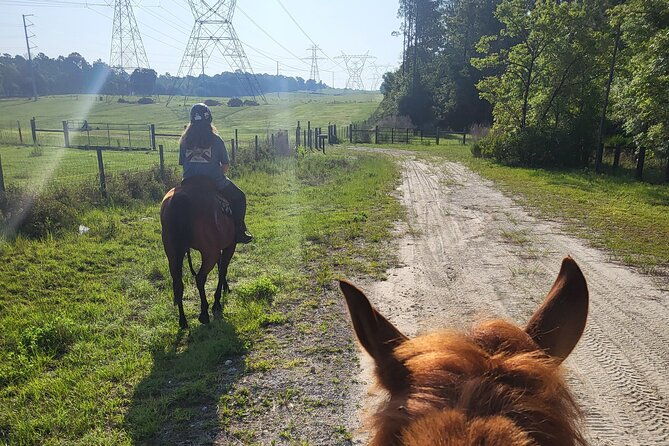 Shaded Trails Horse Ride - Final Thoughts