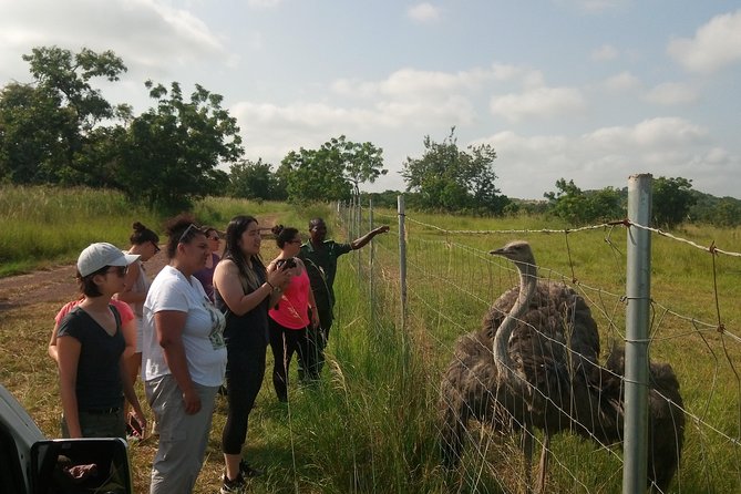 Shai Hills Safari & Aburi Gardens Tour - Pricing Information