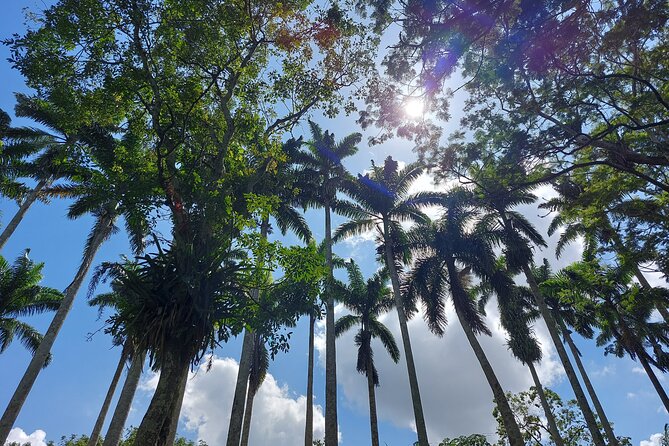 Shai Hills Safari & Aburi Gardens Tour - Booking and Confirmation