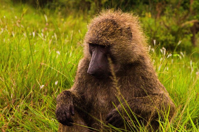 Shai Hills Safari & Aburi Gardens Tour - Booking Flexibility