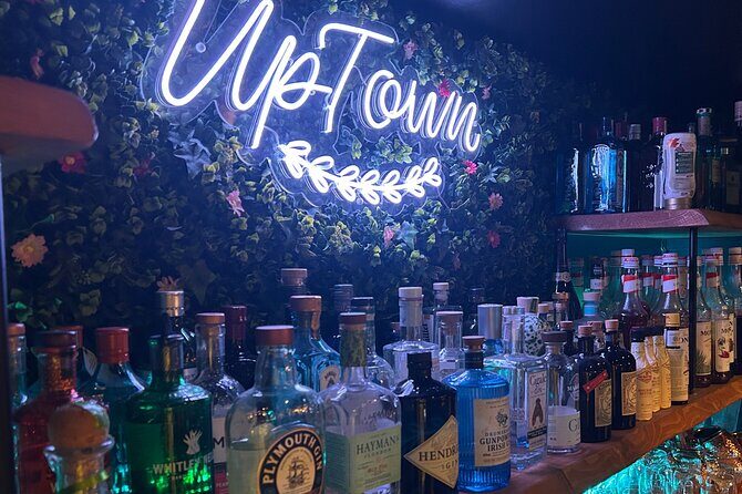 Shake, Mix & Sip: Cocktail Workshop in Old Nice - Good To Know