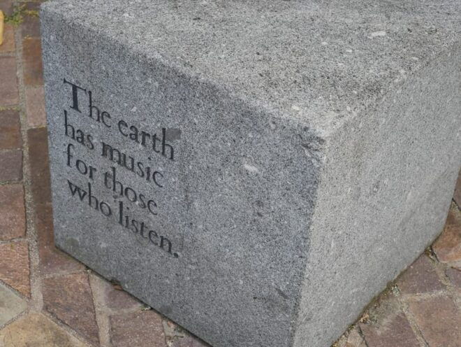 Shakespeares London: Walking Tour - Important Information for Participants