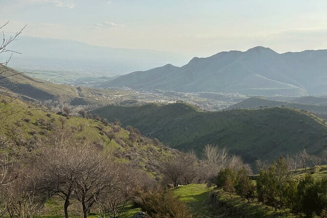 Shakhrisabz Private Day Tour from Samarkand - Final Thoughts: Is This Tour Right for You?