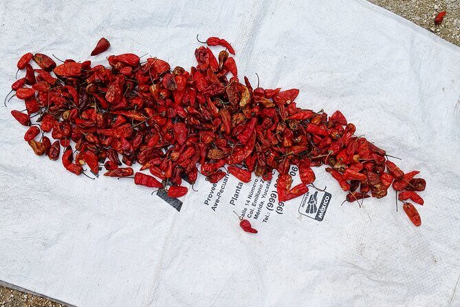 Shamanic Blessing Hidden Cenotes and Village Immersion - FAQs