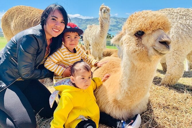 Shamarra Alpaca Farm Tours - Assistance and Support