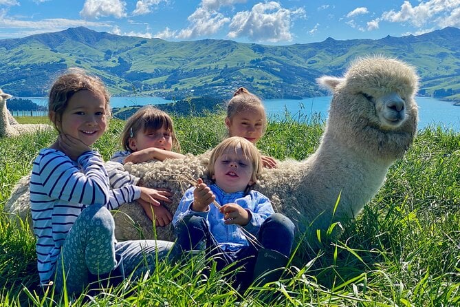 Shamarra Alpaca Farm Tours - Pricing and Booking Information
