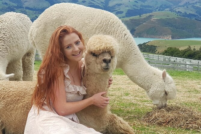 Shamarra Alpaca Farm Tours - Directions