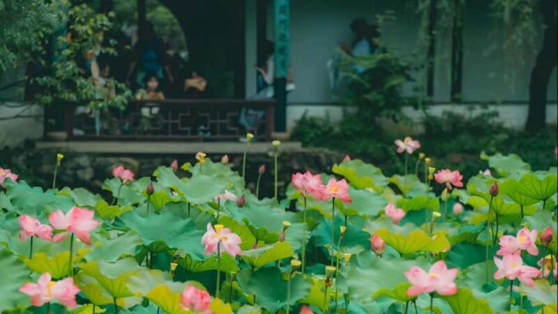 Shanghai: 7-Day Private Tour with Suzhou & Nanjing - What Sets This Tour Apart