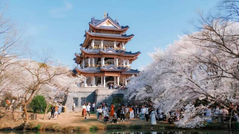 Shanghai: 7-Day Private Tour with Suzhou & Nanjing - Nanjing: An Ancient Capital