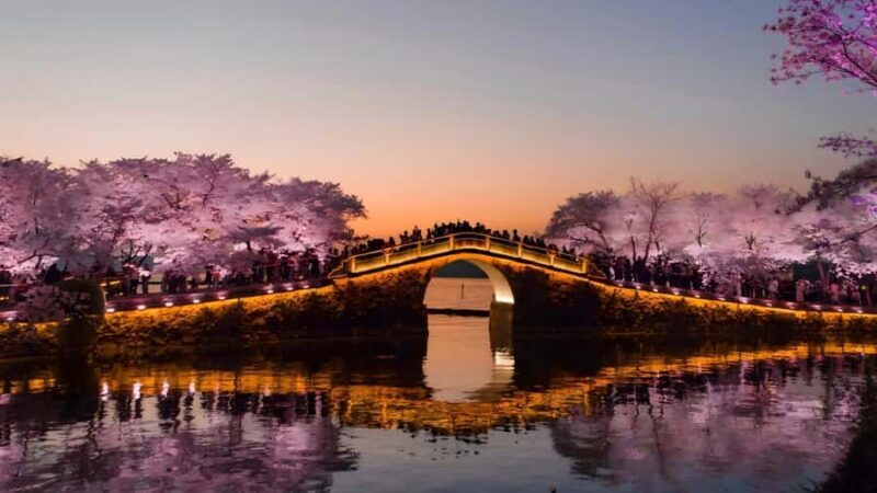 Shanghai: 7-Day Private Tour with Suzhou & Nanjing - Practical Details: What to Expect