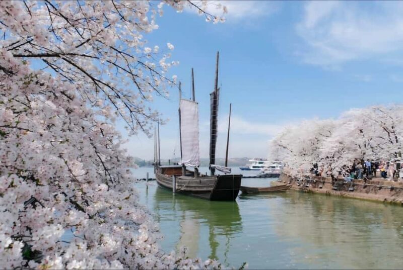 Shanghai: 7-Day Private Tour with Suzhou & Nanjing - Final Thoughts