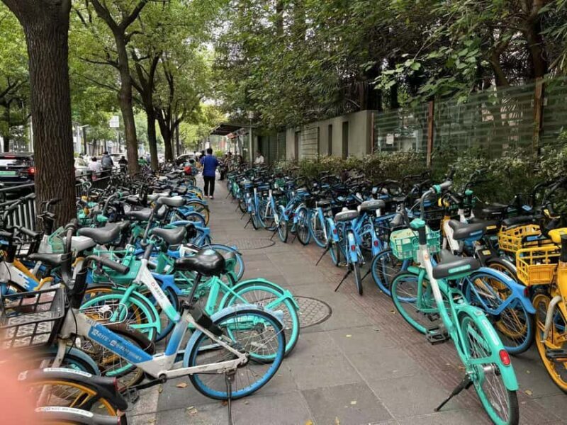 Shanghai: A Day of Immersive Suburban Life - Who Is This Tour Best For?