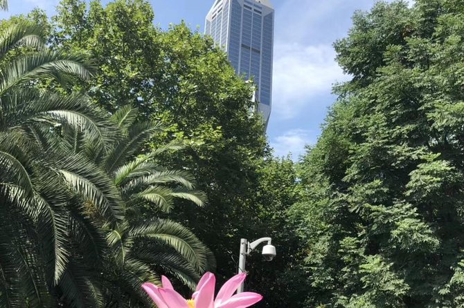 Shanghai Airport Layover Tour - Pricing & Availability