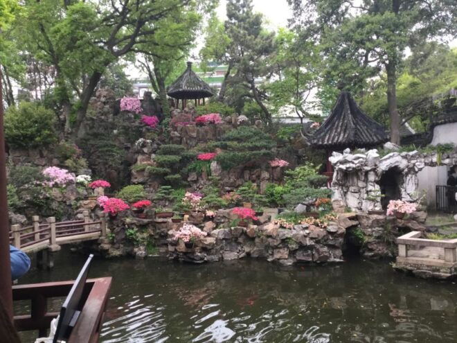 Shanghai: All-Inclusive Private Sightseeing Tour - Optional Activities and Additional Expenses