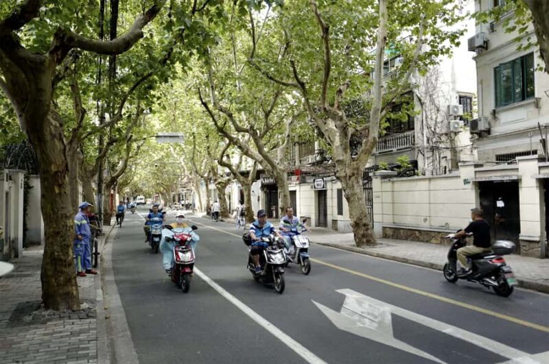 Shanghai: Art & Culture Guided tour in the French Concession & the Bund - Good To Know  