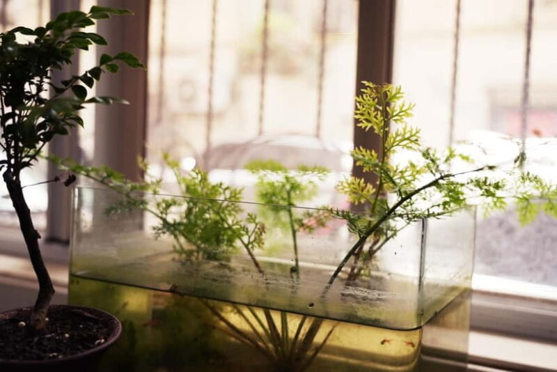 Shanghai: Chinese Culture and Calligraphy Experience - The Value Proposition