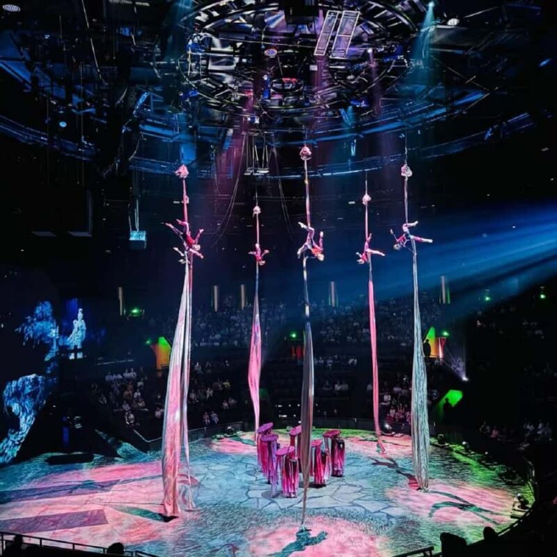 Shanghai: Circus World ERA Theatre Acrobatics Ticket - Who Is This For?