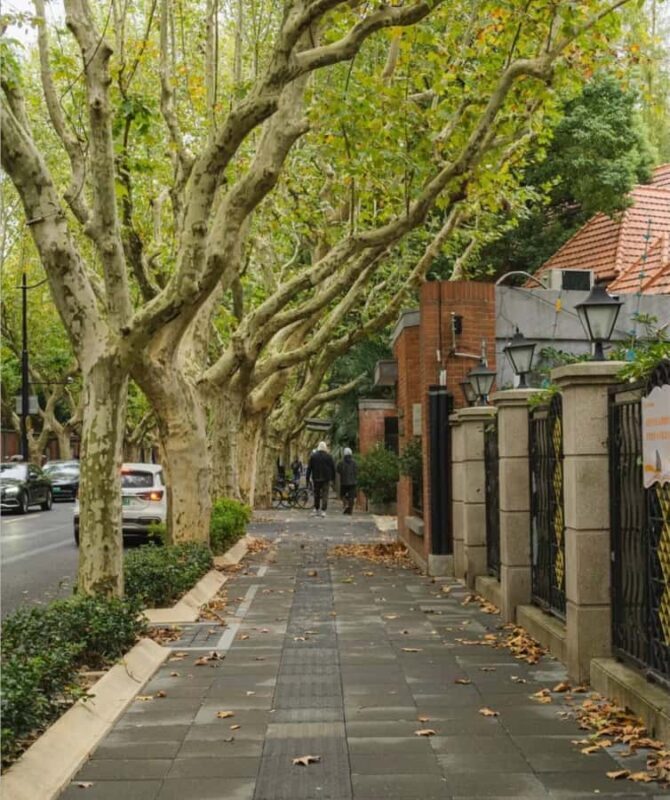 Shanghai City Essentials: Culture, Yu Garden & Night Views - Discovering the Heart of Shanghai in One Day