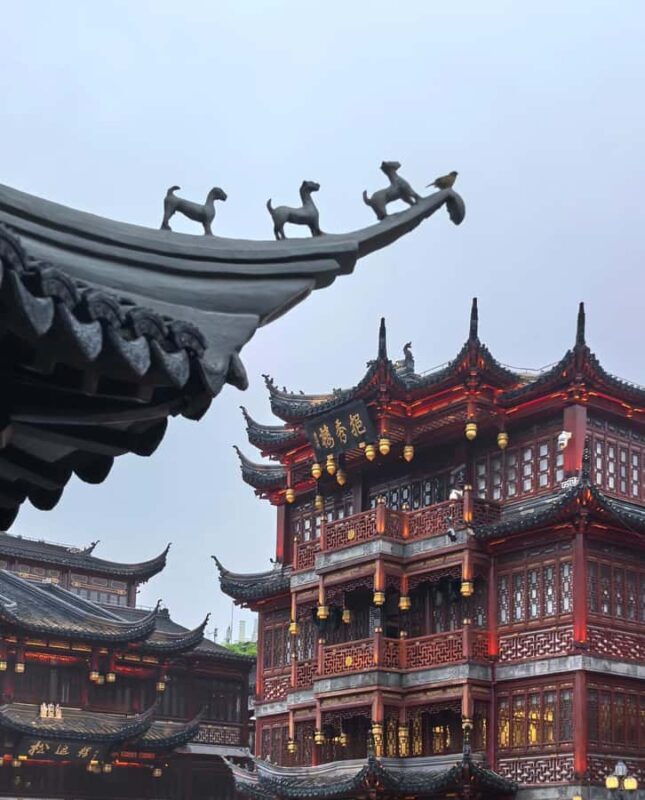Shanghai City Essentials: Culture, Yu Garden & Night Views - Final Thoughts