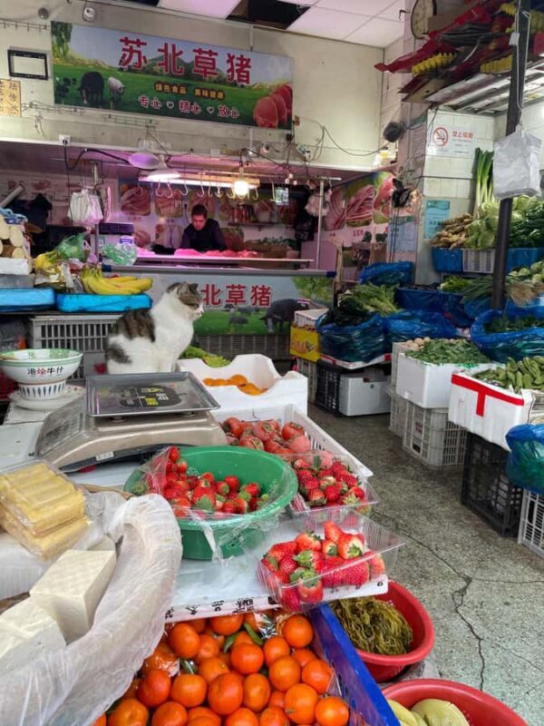 Shanghai Classic Food and Culture Walking Tour - The Press and Zhejiang Road