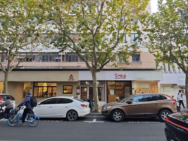 Shanghai Concession and History: Tour in a Minivan - Visiting Key Sites: The Bund, French Concession & More