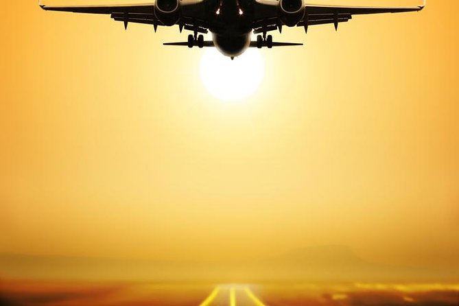 Shanghai Cruise Ports Private Transfer to Shanghai Airports in English Services - Booking Information