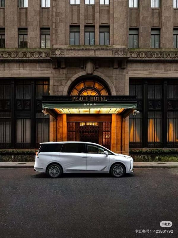 Shanghai Day Tour: Private Car/Van+Driver+Guide (Tkts Inc) - Practical Considerations