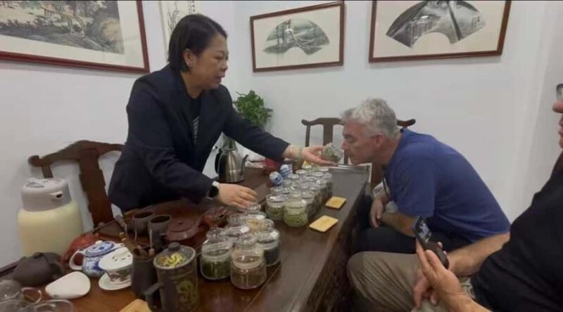 Shanghai Day Tour: Private Car/Van+Driver+Guide (Tkts Inc) - The Sum Up