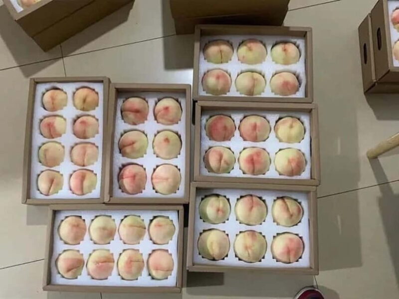 Shanghai: Delicate Seasonal Fruits and Picking Experience - A Closer Look at the Experience