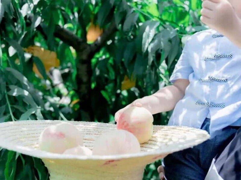 Shanghai: Delicate Seasonal Fruits and Picking Experience - The Sum Up