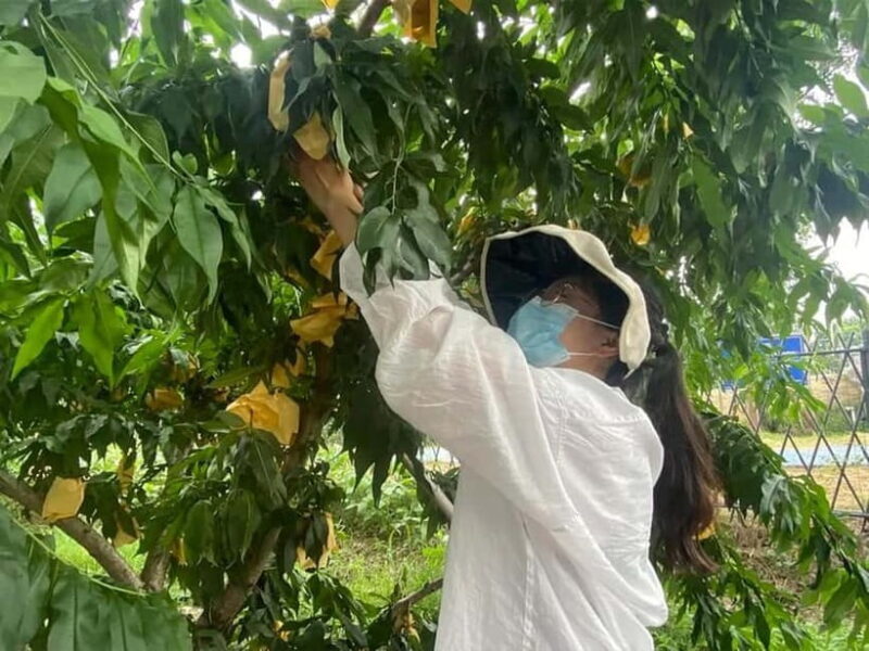 Shanghai: Delicate Seasonal Fruits and Picking Experience - FAQ