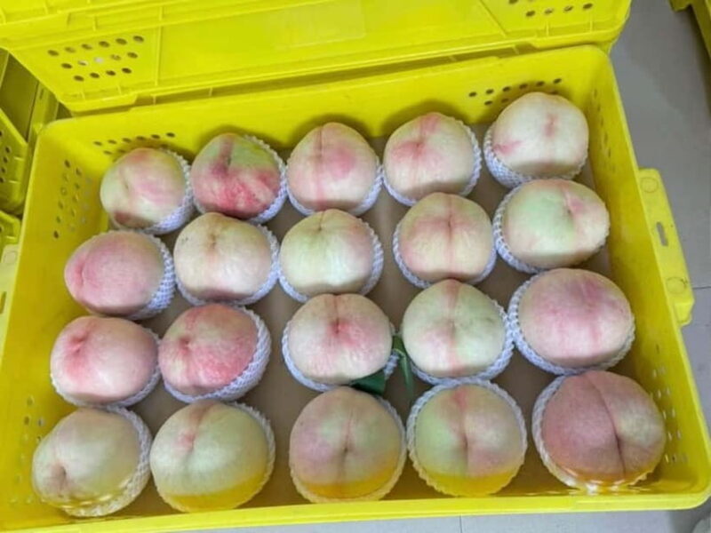 Shanghai: Delicate Seasonal Fruits and Picking Experience - Exploring the Details of the Farm Experience