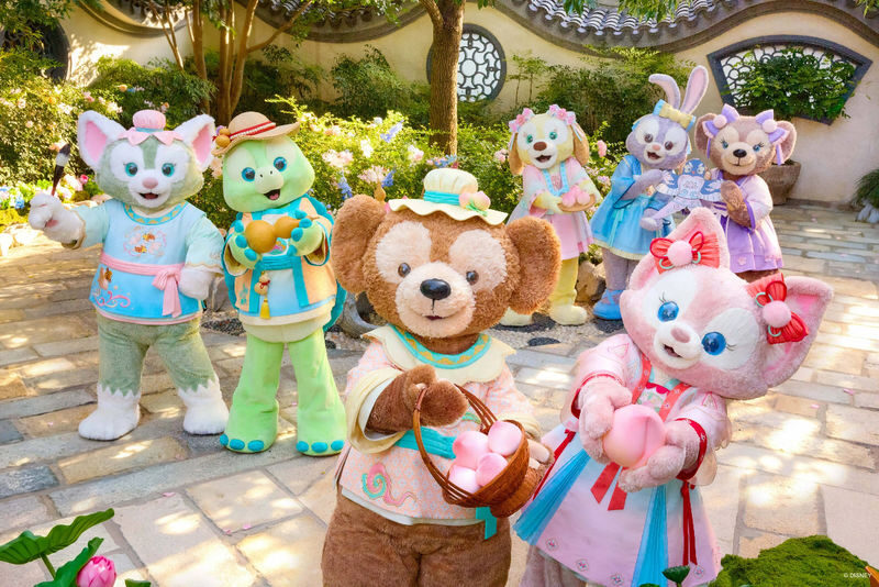 Shanghai Disneyland Ticket - Entry, documents, and a smoother day