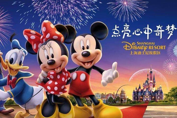 Shanghai Disneyland To Shanghai hotels:Private with Meet & Greet Service - An In-Depth Look at the Transfer Experience