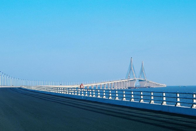 Shanghai Donghai Bridge and Yangshan Port Private Tour With Seafood Feast - Meeting and Pickup Details