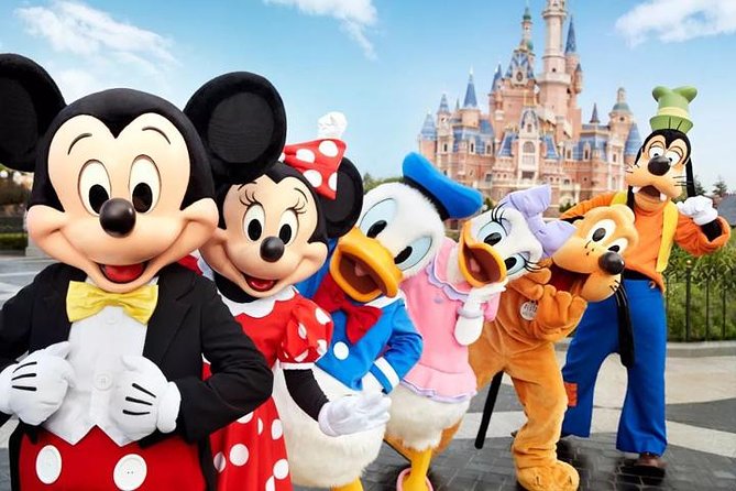 Shanghai Downtown Hotel to Disneyland Resort Round Trip Transfer - Service Features