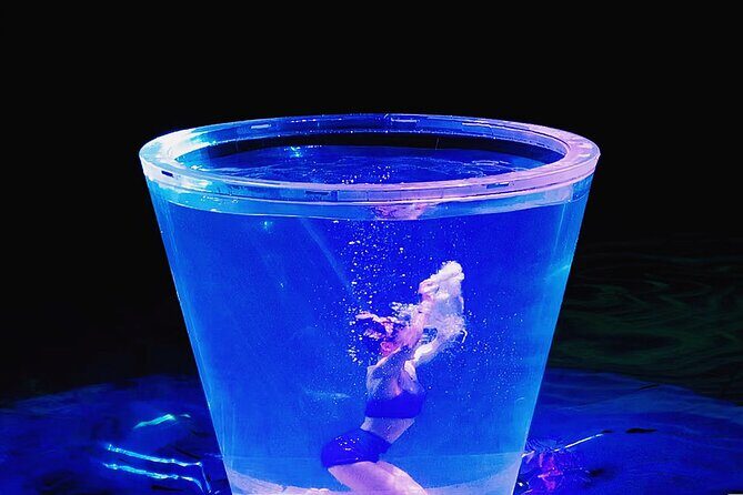 Shanghai ERA Acrobatic Show Tickets Circus World Instant Eticket - Practical Details: Pricing, Duration, and Accessibility