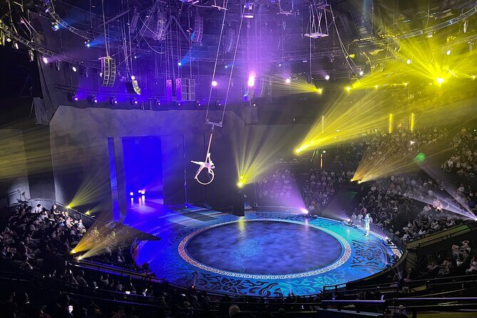 Shanghai Era Theatre Acrobatics Show with Hotel Transfer - Who Is This Tour Best For?