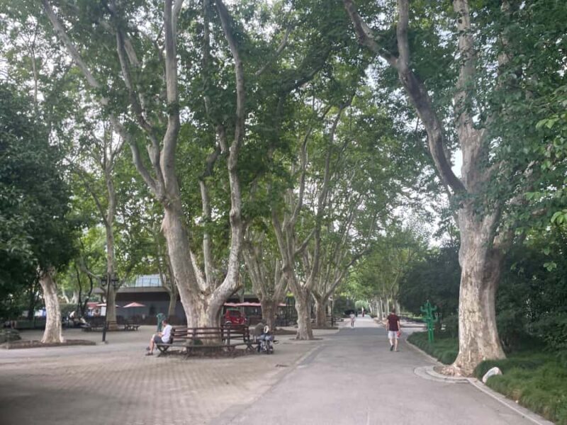 Shanghai Former French Consession Guided Walking Tour - Final Thoughts: Who Is This Tour Perfect For?