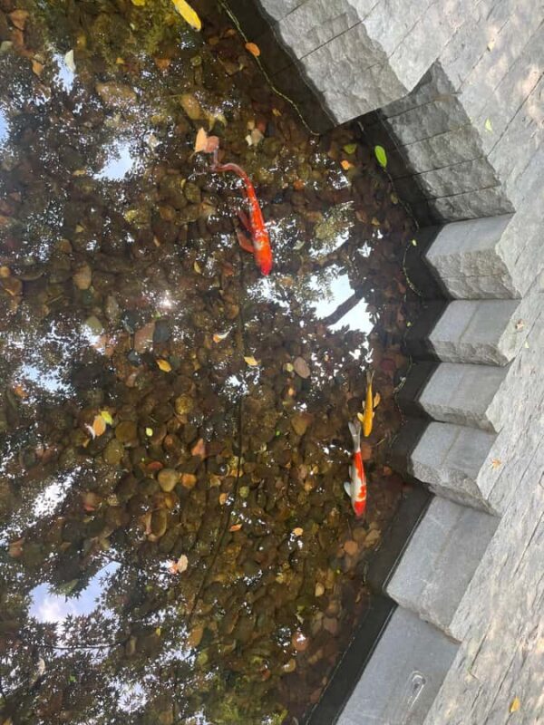 Shanghai Former French Consession Guided Walking Tour - The Sum Up: Who Will Love This Tour?