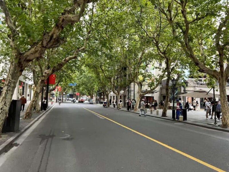 Shanghai: From Colonial Paris to Modern China Guided Tour - Good To Know