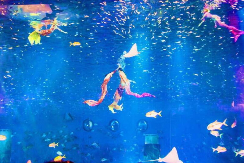 Shanghai: Haichang Ocean Park Adult Ticket - Frequently Asked Questions