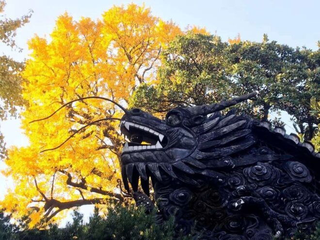 Shanghai Highlights and Zhujiajiao Water Town Private Tour - Booking Information